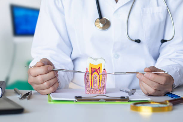 Best Emergency Dental Care for Broken or Chipped Teeth in Martinsville, VA